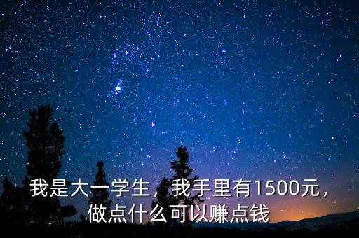 我是大一學(xué)生，我手里有1500元，做點什么可以賺點錢