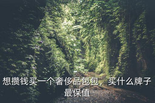 想攢錢買一個(gè)奢侈品包包，買什么牌子最保值