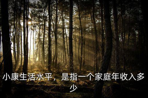 小康生活水平，是指一個(gè)家庭年收入多少