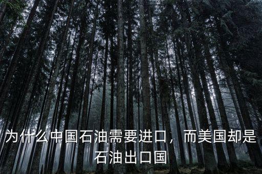 為什么中國石油需要進(jìn)口，而美國卻是石油出口國