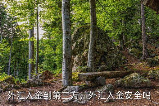 外匯入金到第三方，外匯入金安全嗎