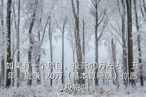 如果有一個(gè)項(xiàng)目，投資40萬左右，五年，能賺120萬（基本算穩(wěn)賺）你愿意投資嗎