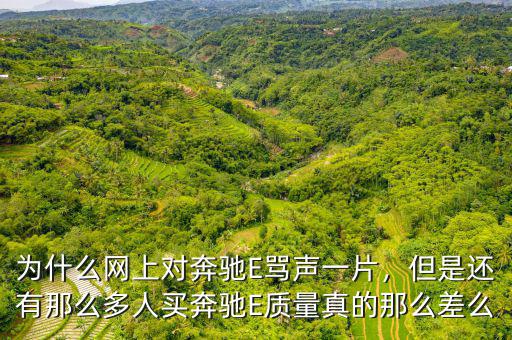 為什么網(wǎng)上對(duì)奔馳E罵聲一片，但是還有那么多人買奔馳E質(zhì)量真的那么差么