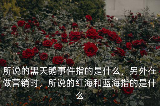 所說(shuō)的黑天鵝事件指的是什么，另外在做營(yíng)銷時(shí)，所說(shuō)的紅海和藍(lán)海指的是什么