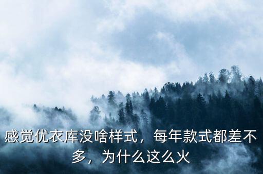 感覺(jué)優(yōu)衣庫(kù)沒(méi)啥樣式，每年款式都差不多，為什么這么火