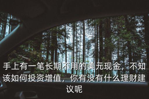手上有一筆長期不用的美元現(xiàn)金，不知該如何投資增值，你有沒有什么理財建議呢