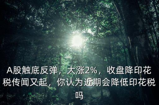 A股觸底反彈，大漲2%，收盤降印花稅傳聞?dòng)制穑阏J(rèn)為近期會(huì)降低印花稅嗎