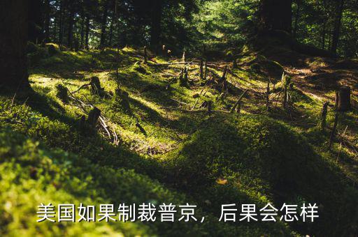 美國(guó)如果制裁普京，后果會(huì)怎樣