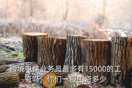 跨境電商業(yè)務(wù)員最多有15000的工資嗎，你們一般工資多少