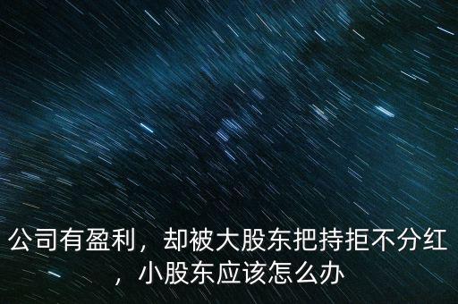 公司有盈利，卻被大股東把持拒不分紅，小股東應(yīng)該怎么辦