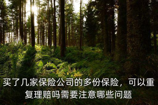 買了幾家保險公司的多份保險，可以重復(fù)理賠嗎需要注意哪些問題