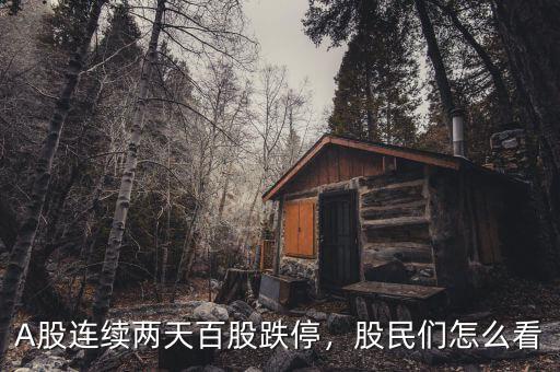 A股連續(xù)兩天百股跌停，股民們?cè)趺纯? class=
