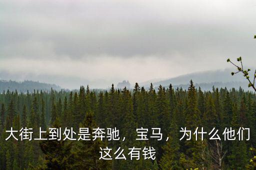大街上到處是奔馳，寶馬，為什么他們這么有錢