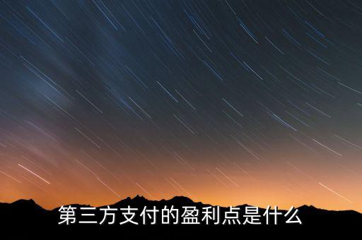第三方支付靠什么賺錢(qián),第三方收付款是什么