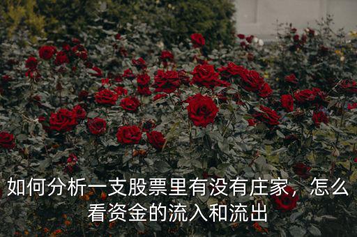 如何分析一支股票里有沒(méi)有莊家，怎么看資金的流入和流出