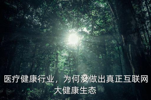 醫(yī)療健康行業(yè)，為何沒(méi)做出真正互聯(lián)網(wǎng)大健康生態(tài)