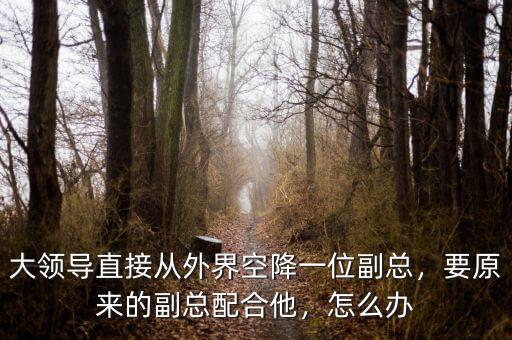 大領(lǐng)導(dǎo)直接從外界空降一位副總，要原來的副總配合他，怎么辦