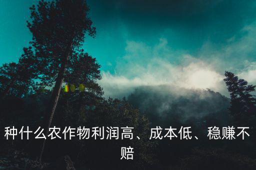 種什么農(nóng)作物利潤高、成本低、穩(wěn)賺不賠