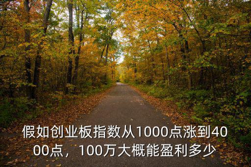 假如創(chuàng)業(yè)板指數(shù)從1000點(diǎn)漲到4000點(diǎn)，100萬(wàn)大概能盈利多少
