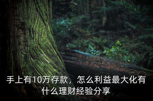 手上有10萬存款，怎么利益最大化有什么理財經(jīng)驗分享