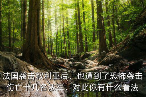 法國襲擊敘利亞后，也遭到了恐怖襲擊傷亡十幾名法軍，對此你有什么看法