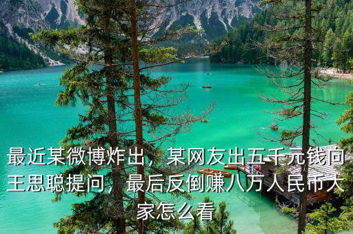 最近某微博炸出，某網(wǎng)友出五千元錢向王思聰提問(wèn)，最后反倒賺八萬(wàn)人民幣大家怎么看