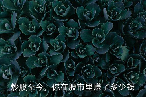 炒股至今，你在股市里賺了多少錢