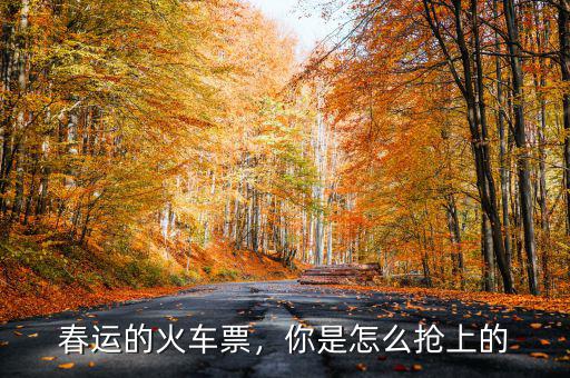 春運的火車票，你是怎么搶上的