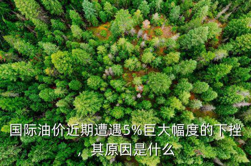 國(guó)際油價(jià)近期遭遇5%巨大幅度的下挫，其原因是什么