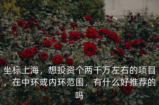 坐標(biāo)上海，想投資個兩千萬左右的項目，在中環(huán)或內(nèi)環(huán)范圍，有什么好推薦的嗎