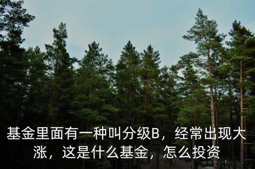 基金里面有一種叫分級B，經(jīng)常出現(xiàn)大漲，這是什么基金，怎么投資