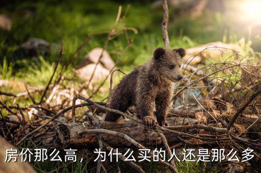 房價(jià)那么高，為什么買的人還是那么多