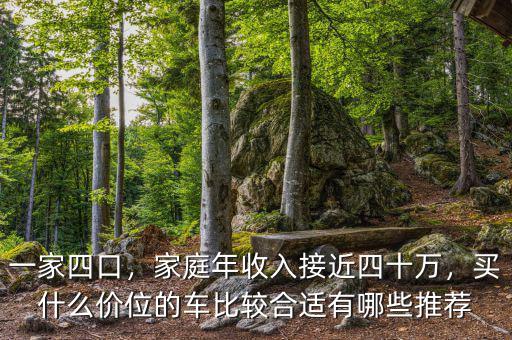 一家四口，家庭年收入接近四十萬，買什么價位的車比較合適有哪些推薦