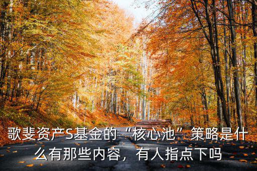 歌斐資產(chǎn)S基金的“核心池”策略是什么有那些內(nèi)容，有人指點下嗎