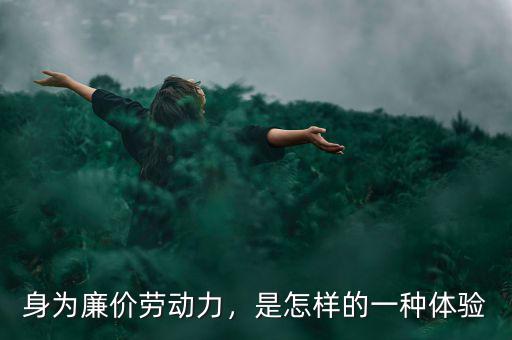 身為廉價勞動力，是怎樣的一種體驗