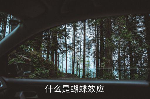 什么是蝴蝶效應