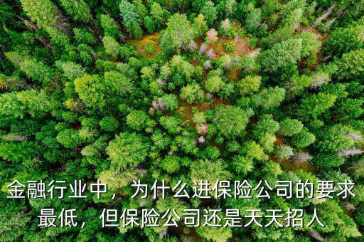 金融行業(yè)中，為什么進(jìn)保險(xiǎn)公司的要求最低，但保險(xiǎn)公司還是天天招人