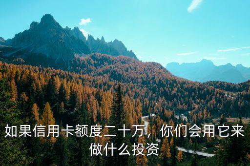 如果信用卡額度二十萬，你們會用它來做什么投資