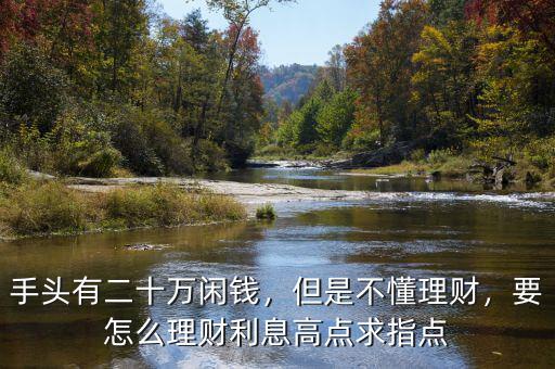 手頭有二十萬閑錢，但是不懂理財(cái)，要怎么理財(cái)利息高點(diǎn)求指點(diǎn)
