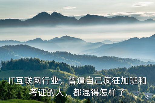 IT互聯網行業(yè)，曾逼自己瘋狂加班和考證的人，都混得怎樣了