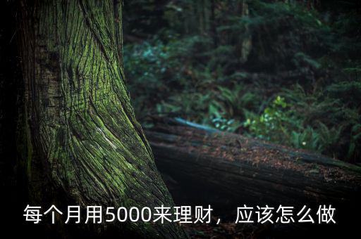 每個月用5000來理財，應(yīng)該怎么做