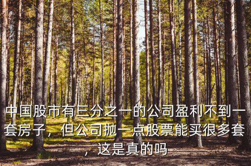 中國(guó)股市有三分之一的公司盈利不到一套房子，但公司拋一點(diǎn)股票能買很多套，這是真的嗎