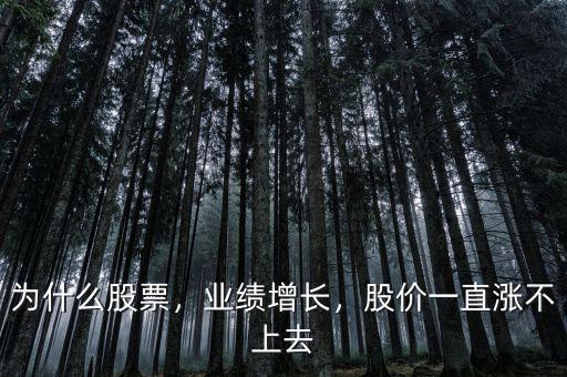 為什么股票，業(yè)績增長，股價一直漲不上去