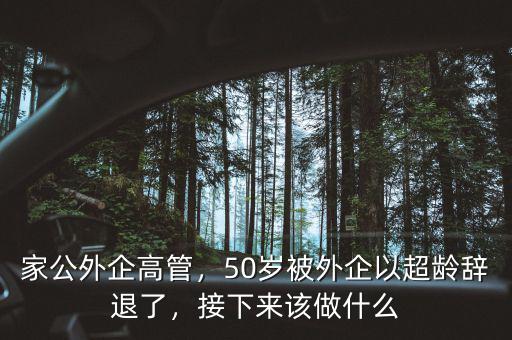家公外企高管，50歲被外企以超齡辭退了，接下來該做什么