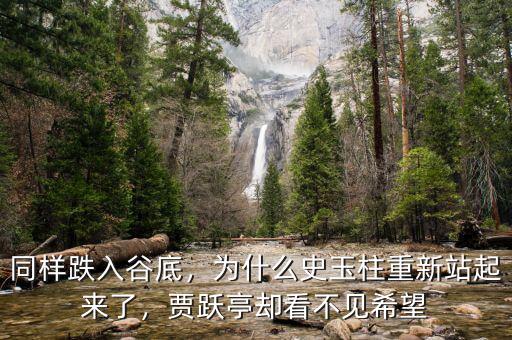 同樣跌入谷底，為什么史玉柱重新站起來了，賈躍亭卻看不見希望