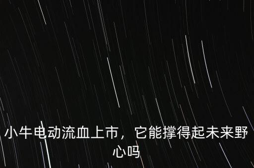 小牛電動(dòng)流血上市，它能撐得起未來(lái)野心嗎