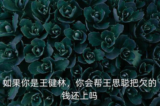 如果你是王健林，你會(huì)幫王思聰把欠的錢還上嗎