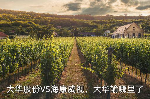 海康威視怎么持有股份,寧德時(shí)代和?？低?/></a></span><span id=