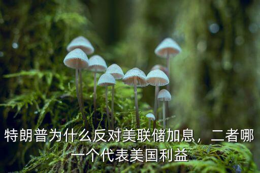 特朗普為什么反對(duì)美聯(lián)儲(chǔ)加息，二者哪一個(gè)代表美國(guó)利益