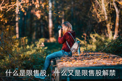 什么是限售股，什么又是限售股解禁